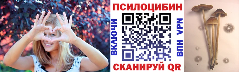 Псилоцибиновые грибы прущие грибы  Купить где  Киренск 